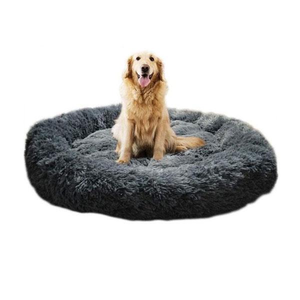 Best Calming Dog Beds For Anxiety Relieving
