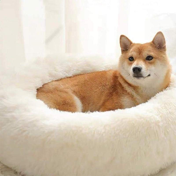 Super Soft Fluffy Pet Bed