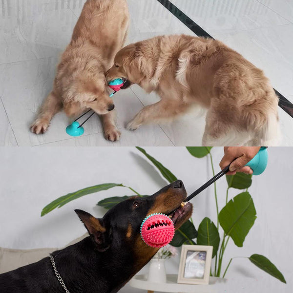 Multifunction Dog Chew Toy