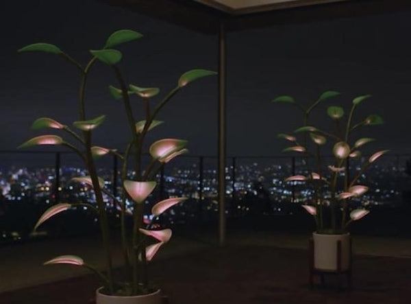 The Magical LED Houseplant