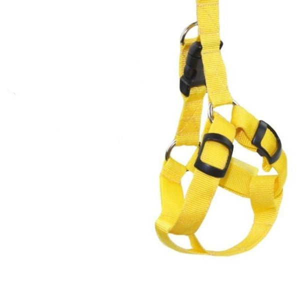 LED Dog Safty Harness