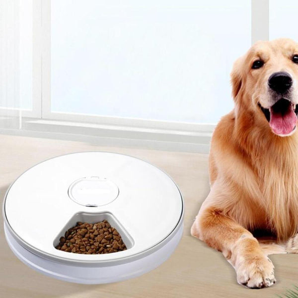3L Automatic Pet Feeder With Voice Record - White