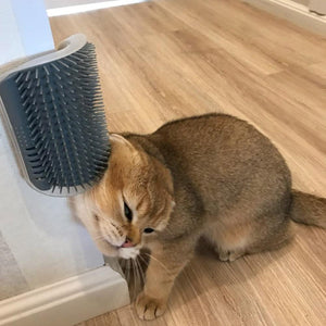 Cat Corner Self Grooming Massage Brush