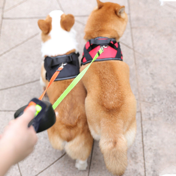 2 Color Retractable Dual Double Pet Leash Rope Zero Tangle Walk For Two Dog Walk Adjustable Pet Leash
